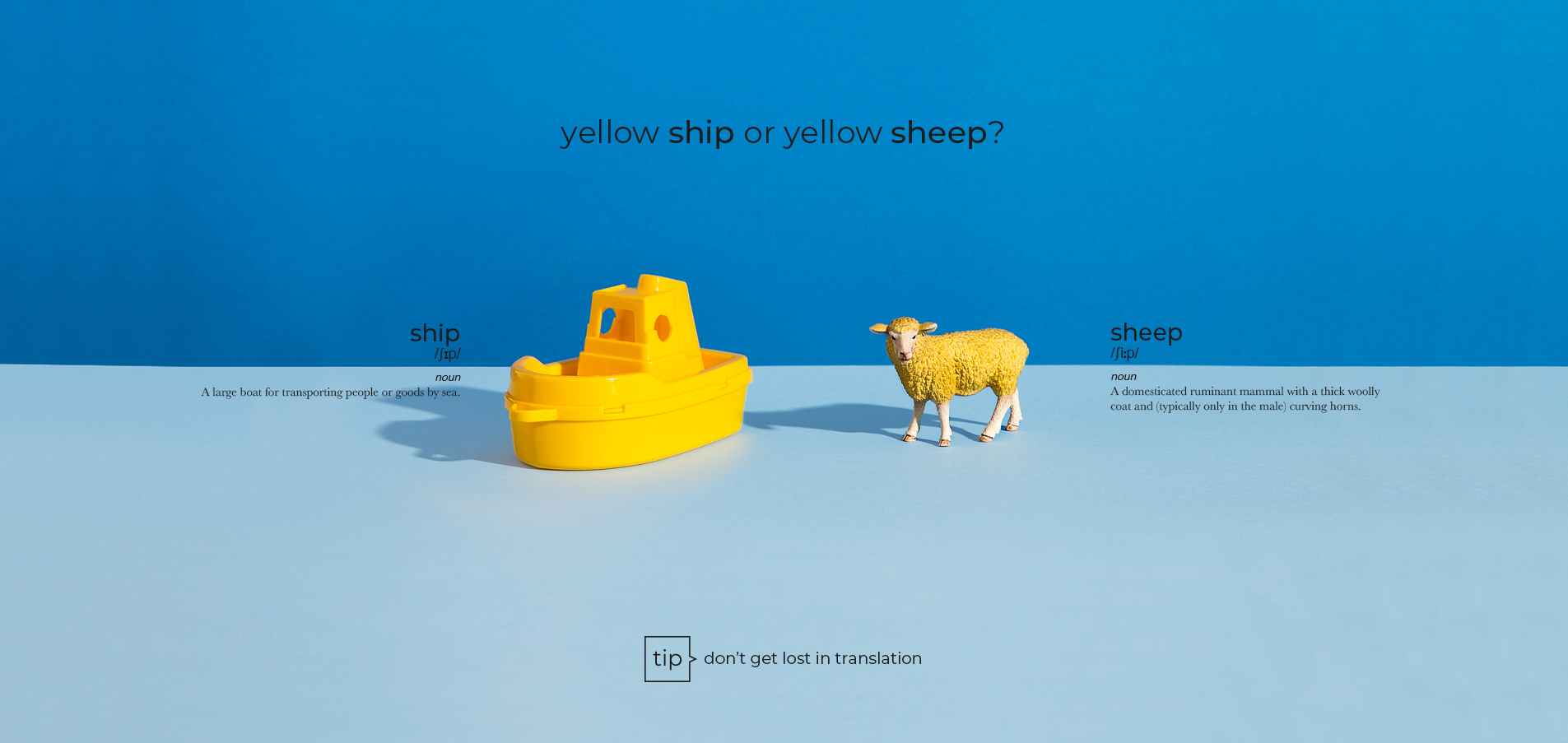 ship sheep